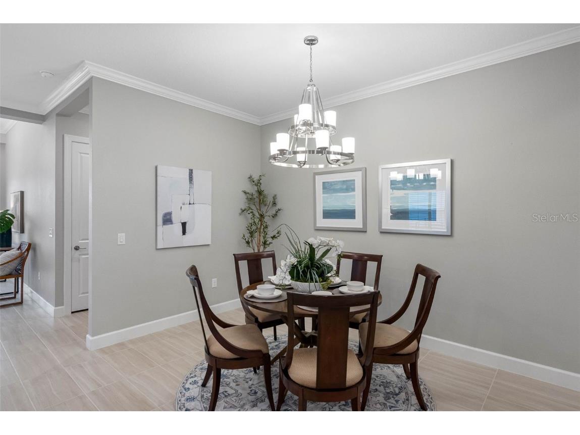 4795 Freccia Loop Wesley Chapel FL 33543 TB8441667 image8