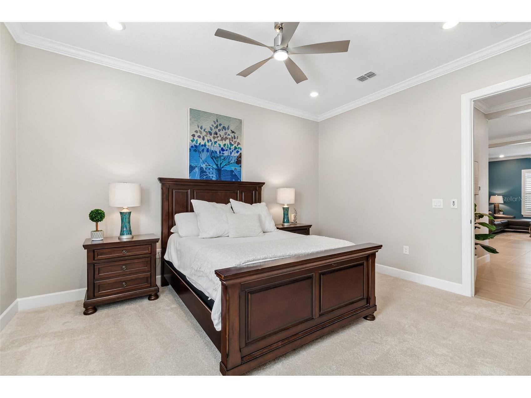 4795 Freccia Loop Wesley Chapel FL 33543 TB8503049 image45