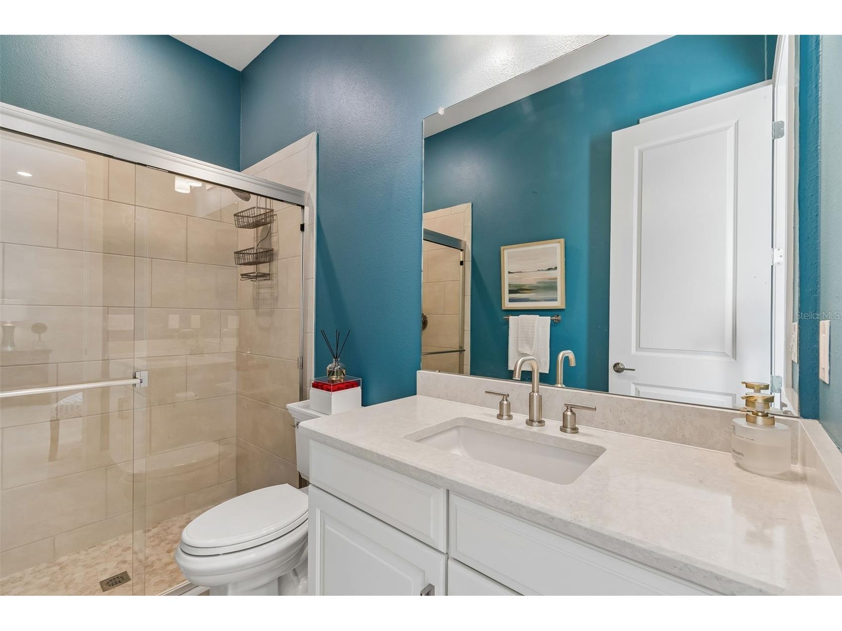4795 Freccia Loop Wesley Chapel FL 33543 TB8503049 image47