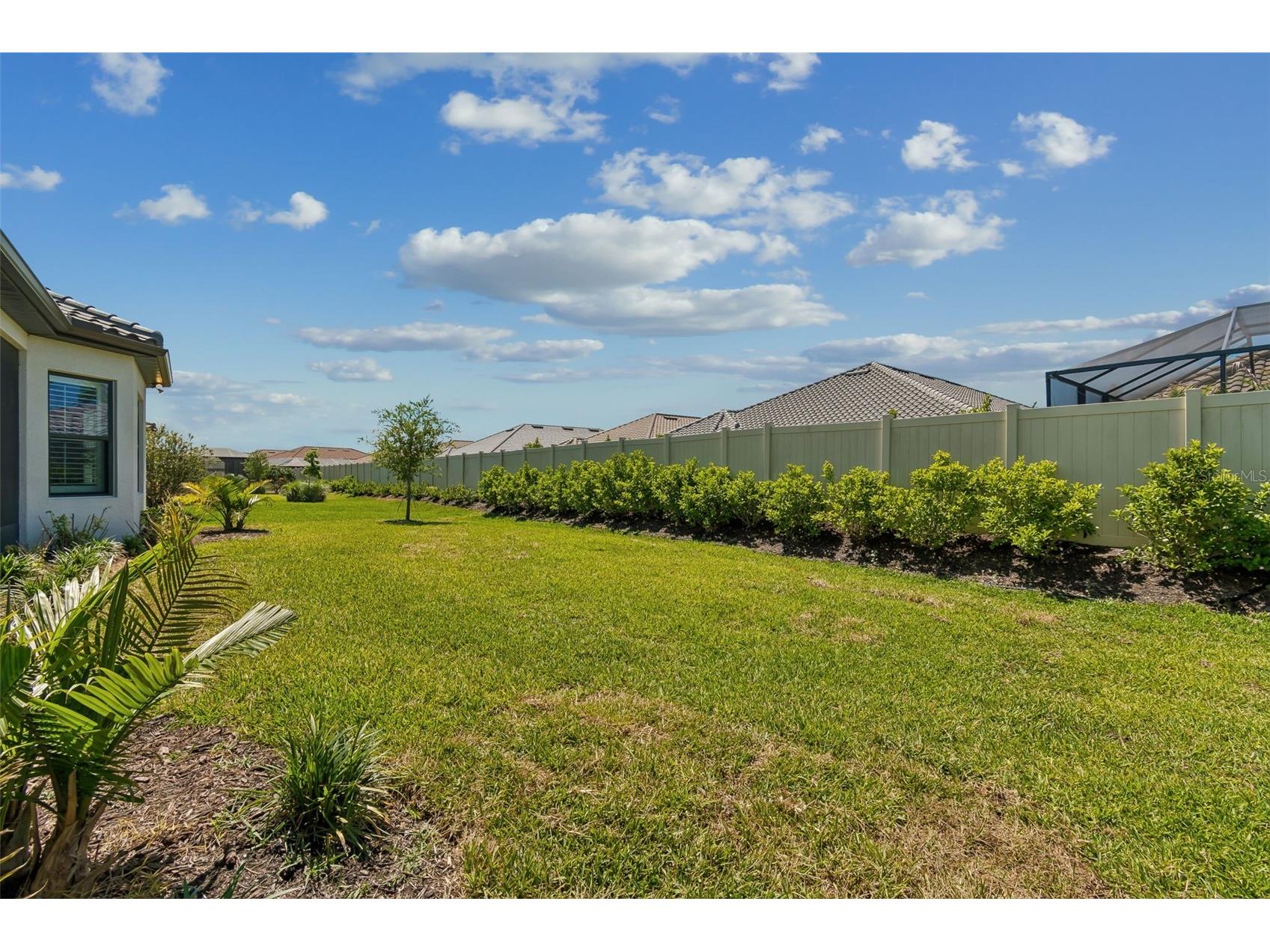 4795 Freccia Loop Wesley Chapel FL 33543 TB8503049 image70