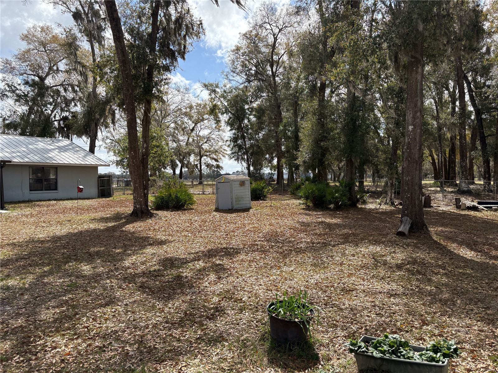 4796 Cr 311 Bushnell FL 33513 G5109051 image12