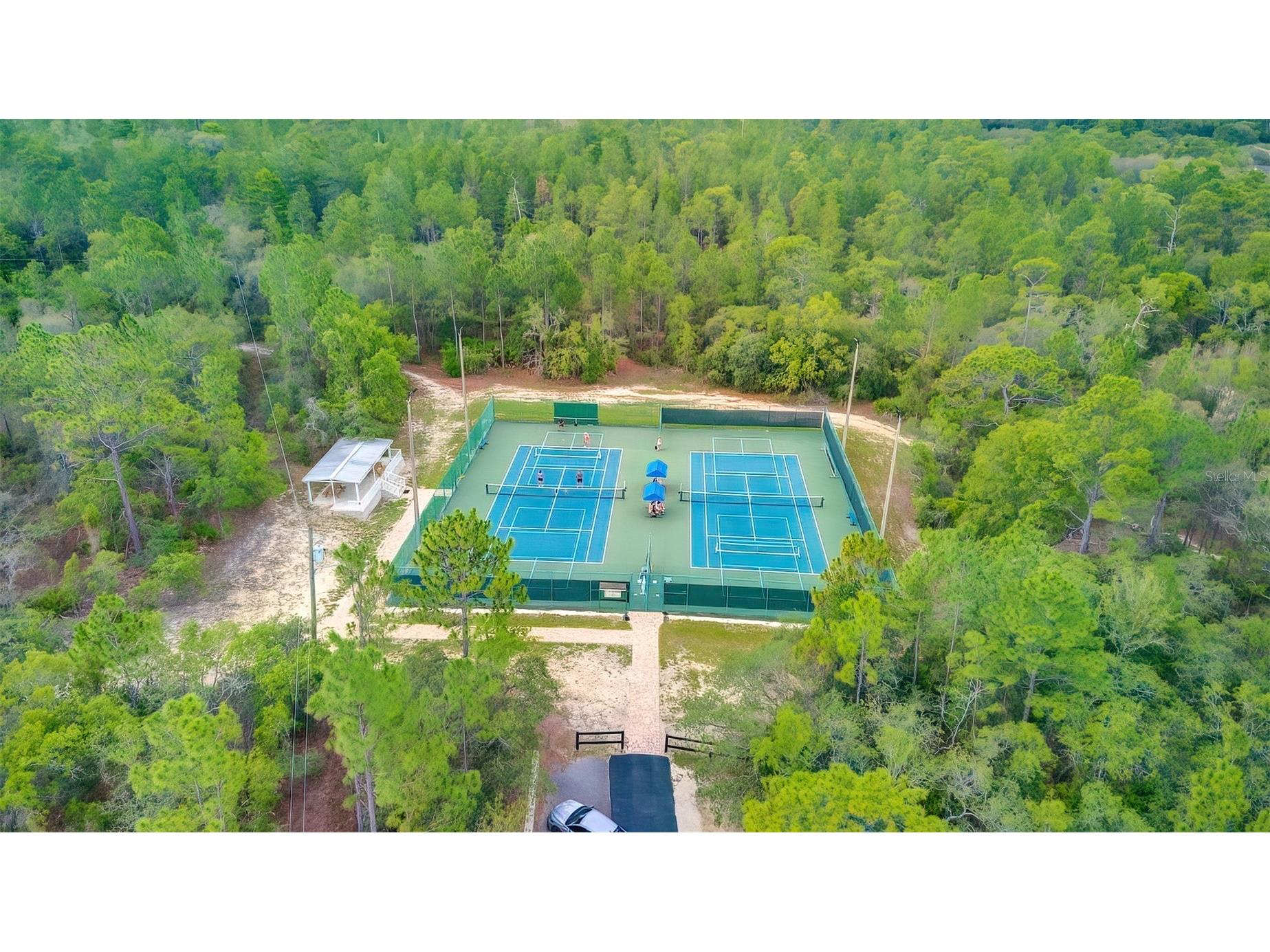 4797 N Lena Drive Beverly Hills FL 34465 TB8514134 image77