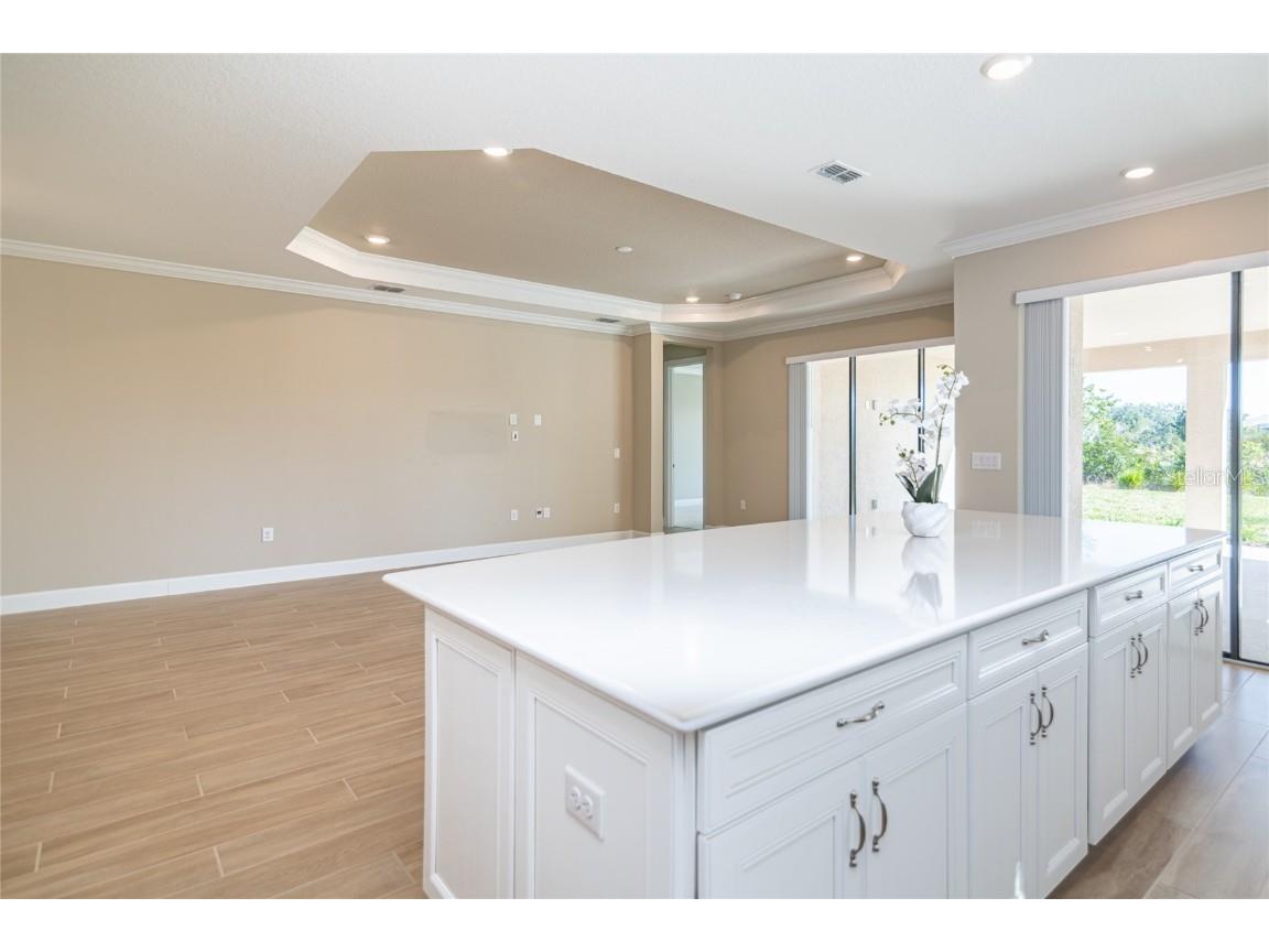 4798 Rosatti Road Wesley Chapel FL 33543 TB8445558 image14