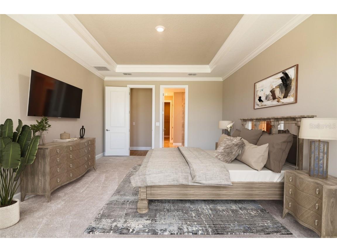 4798 Rosatti Road Wesley Chapel FL 33543 TB8445558 image18