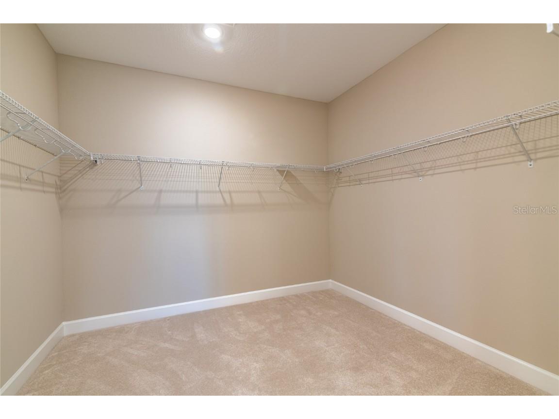 4798 Rosatti Road Wesley Chapel FL 33543 TB8445558 image25