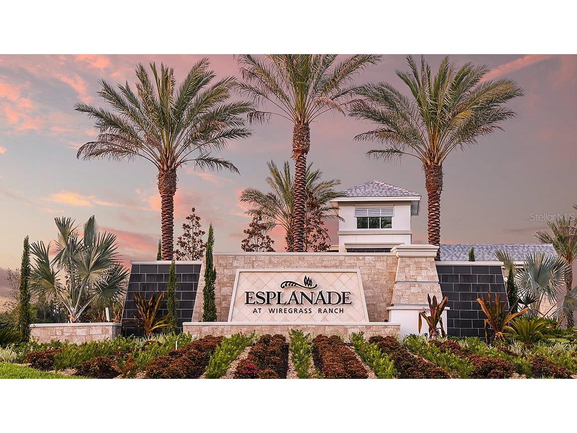 4798 Rosatti Road Wesley Chapel FL 33543 TB8445558 image44