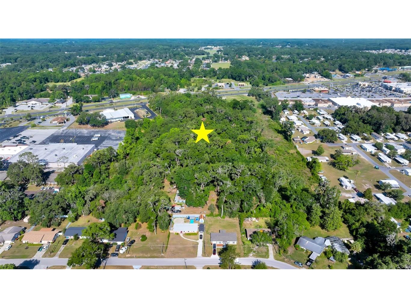 4799 SE 106th Place Road Belleview FL 34420 OM564777 image6