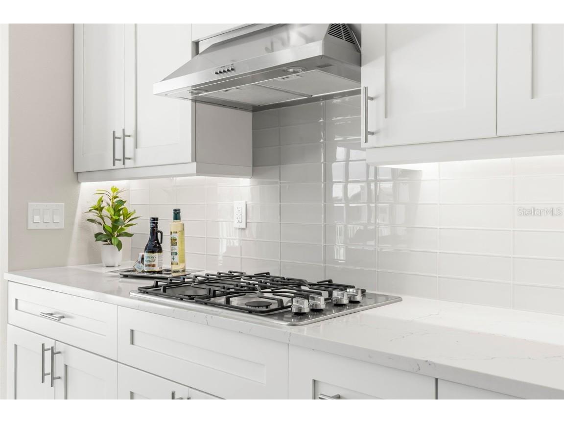 47A Bayview Court S Saint Petersburg FL 33711 - BOCA CIEGA BAY U8237677 image14