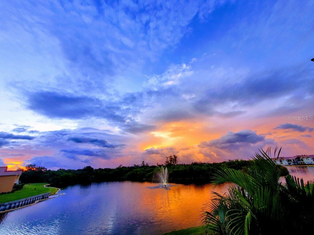 47A Bayview Court S Saint Petersburg FL 33711 - BOCA CIEGA BAY U8237677 image44