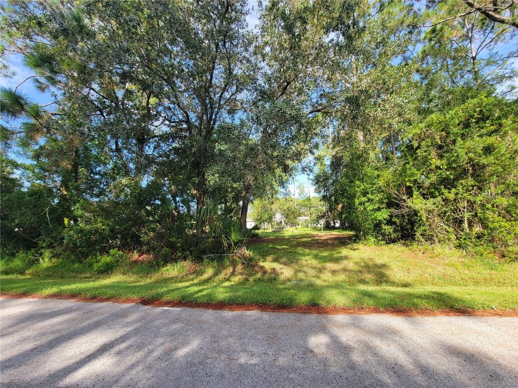 48 Ballard Palm Coast FL 32137 FC303712 image1