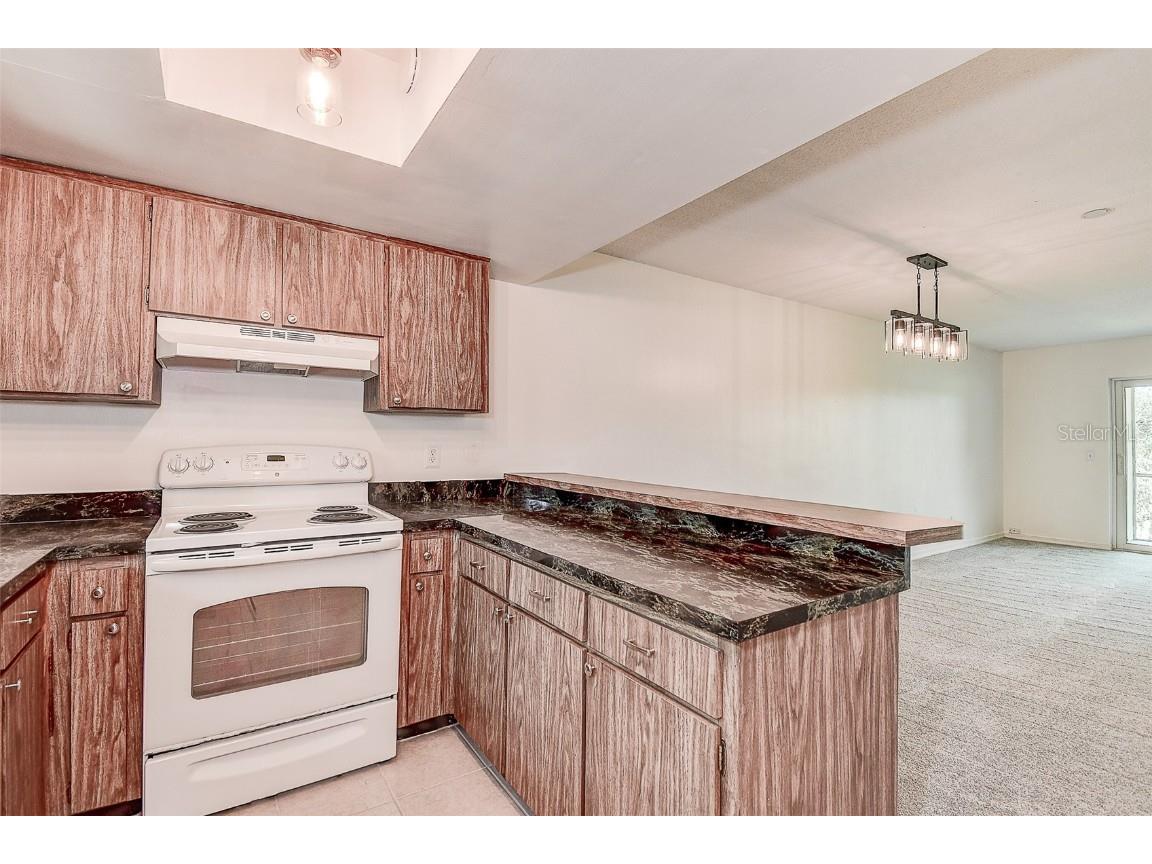 48 Country Club Drive #48 Largo FL 33771 TB8417672 image10