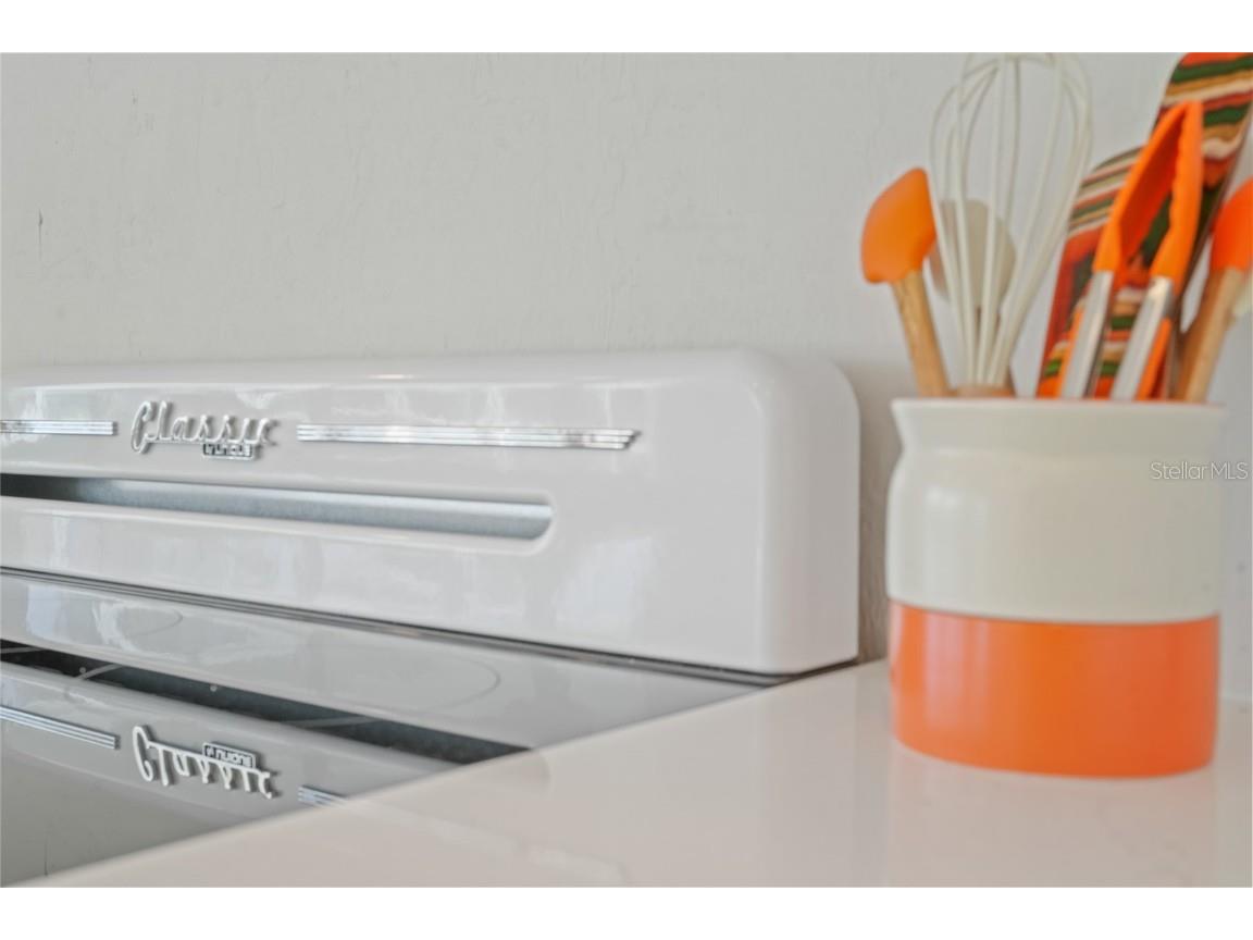 48 Hibiscus Drive Punta Gorda FL 33950 - BLUE FISH LAGOON C7509123 image14