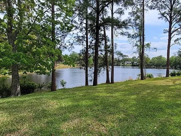 48 Kings Colony Court #48 Palm Coast FL 32137 FC318246 image11