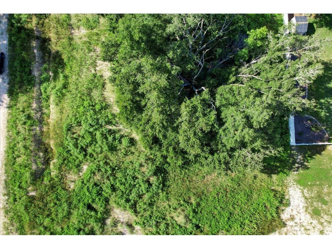 48 N Buchannon Terrace Inverness FL 34453 O6234098 image10