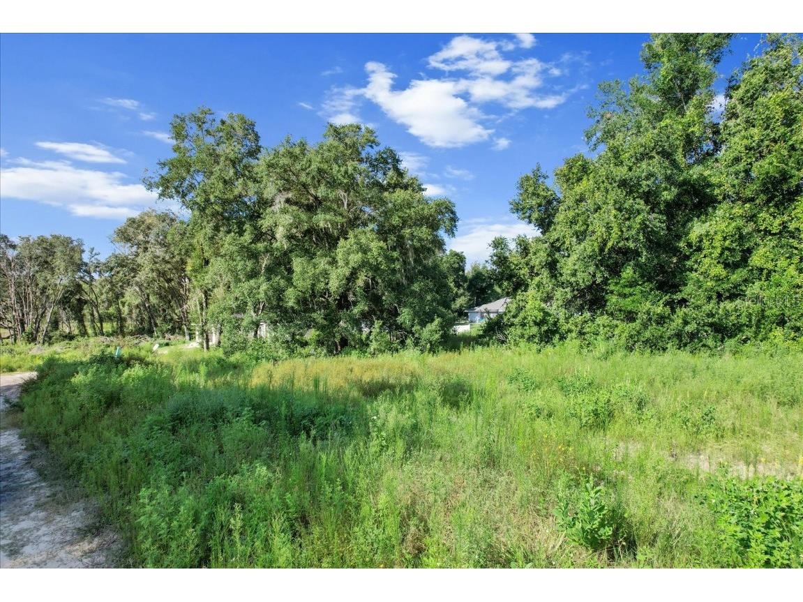 48 N Buchannon Terrace Inverness FL 34453 O6234098 image11