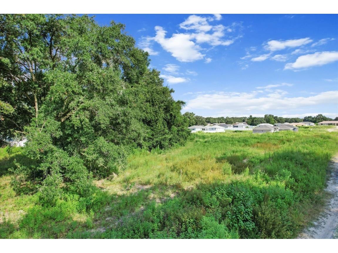 48 N Buchannon Terrace Inverness FL 34453 O6234098 image12