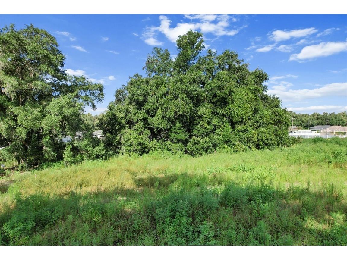 48 N Buchannon Terrace Inverness FL 34453 O6234098 image13