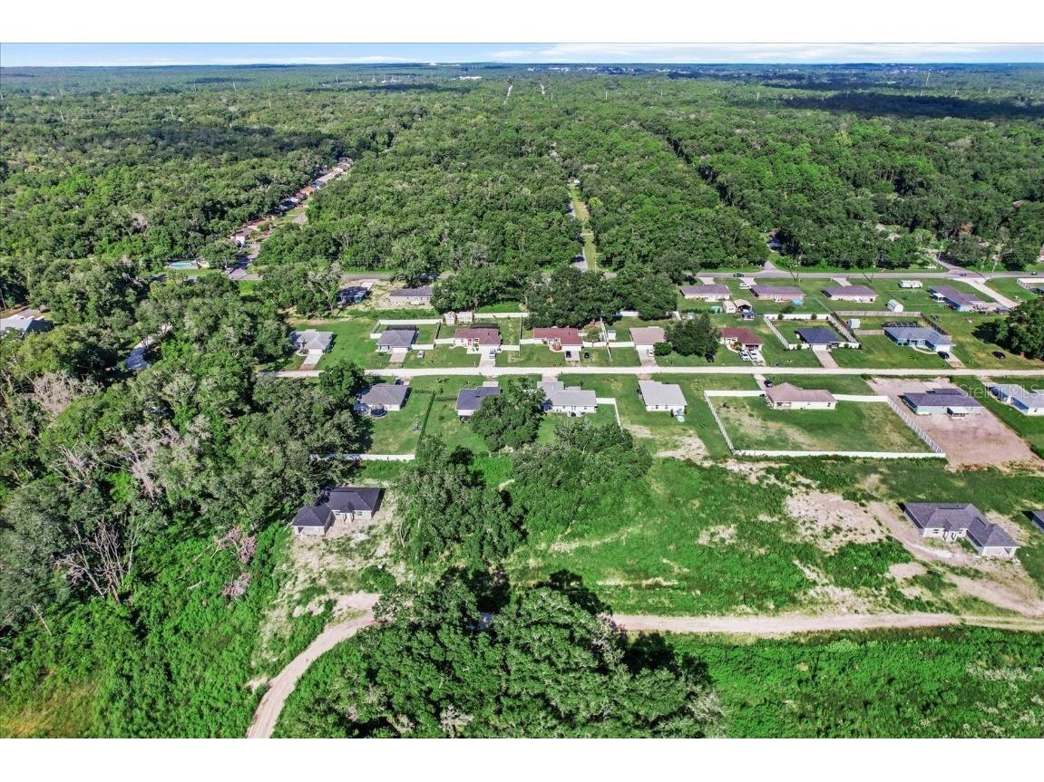 48 N Buchannon Terrace Inverness FL 34453 O6234098 image3