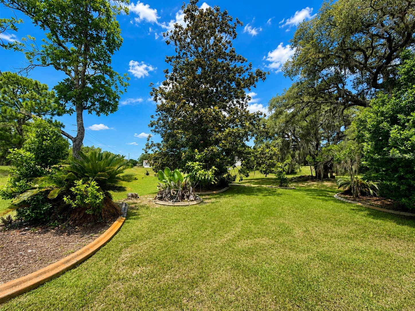 48 N Crystal Meadow Path Lecanto FL 34461 TB8518433 image8