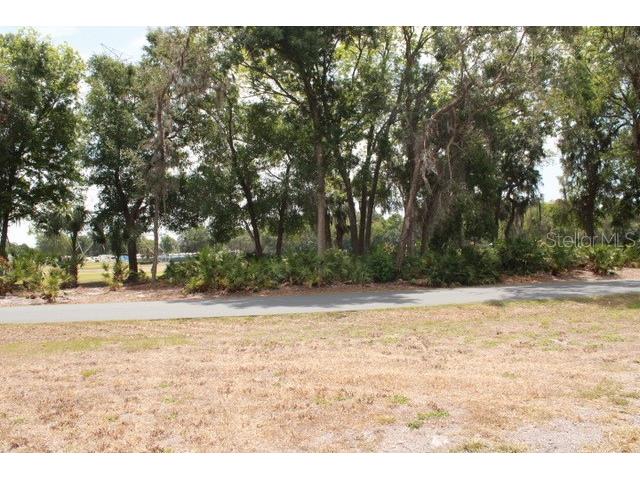 48 S Bobwhite Road Wildwood FL 34785 G5101592 image17
