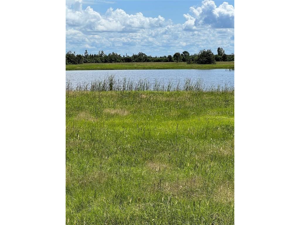 48 Willow Road Placida FL 33946 D6132484 image1