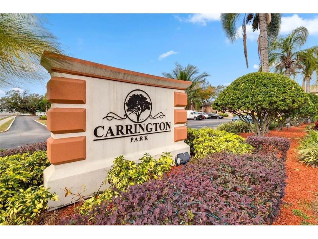 480 Banyon Tree Circle #100 Maitland FL 32751 O6294907 image5