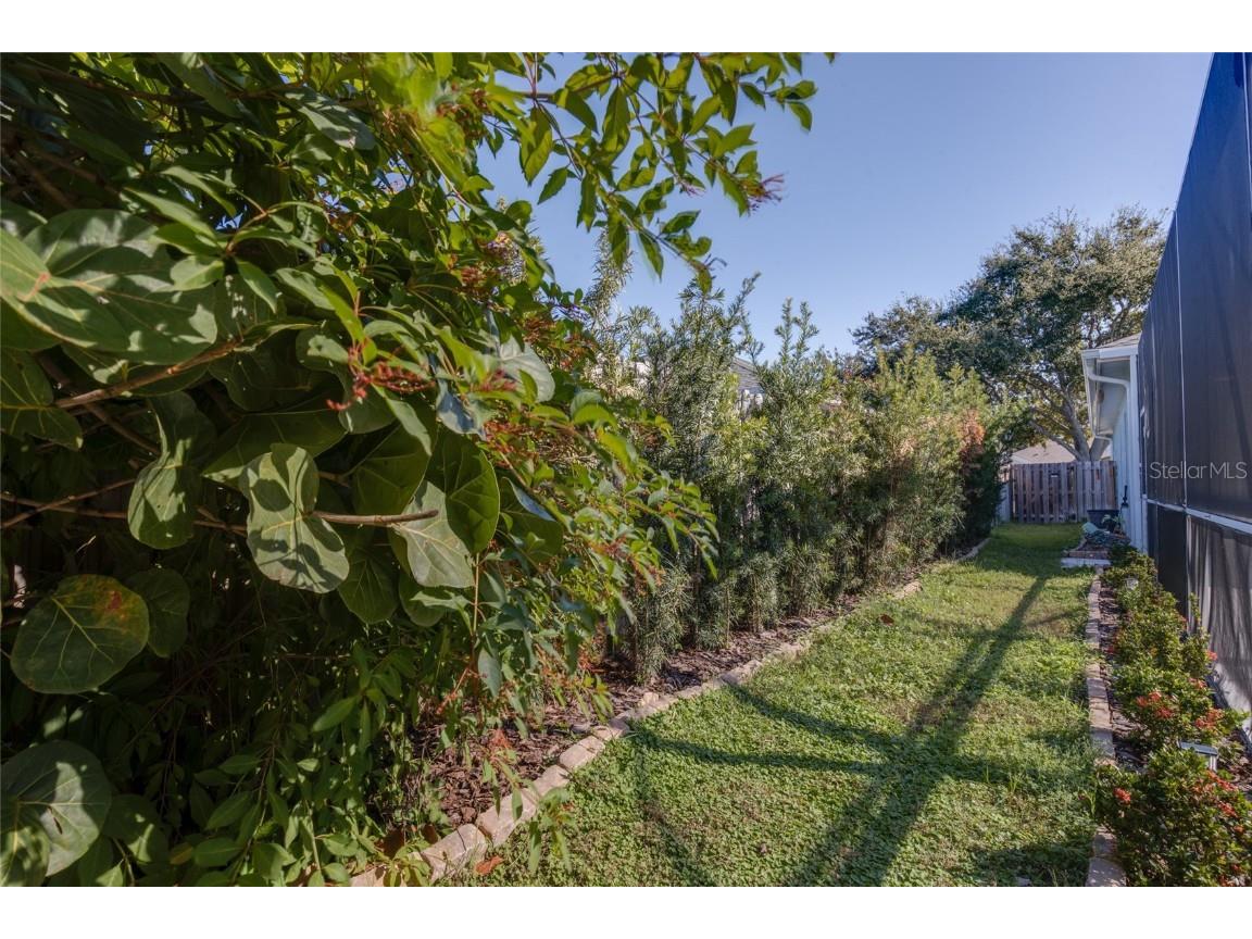 480 Bridle Path Way Tarpon Springs FL 34688 TB8449175 image47