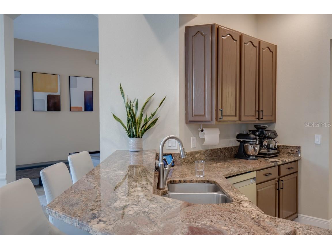 480 Bridle Path Way Tarpon Springs FL 34688 TB8449175 image9