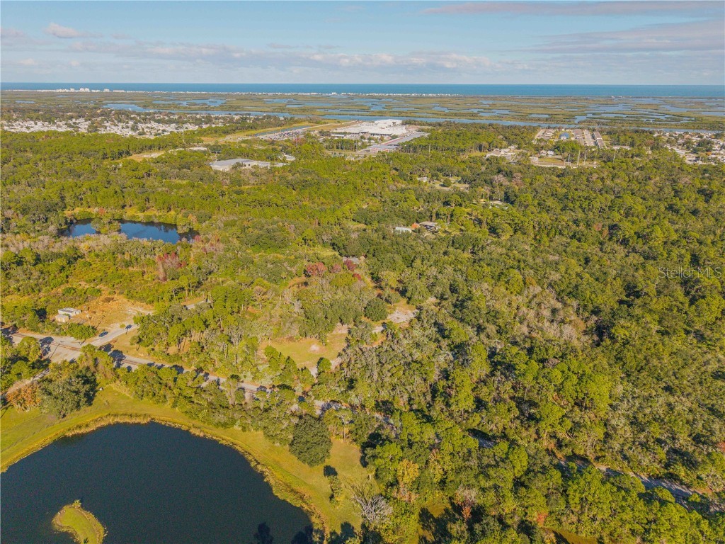 480 Clinton Cemetery Road Edgewater FL 32141 NS1086782 image16