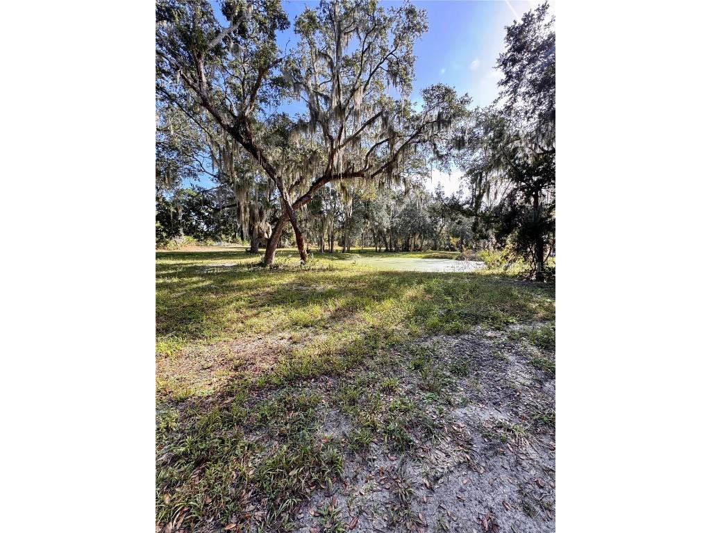 480 Clinton Cemetery Road Edgewater FL 32141 NS1086782 image21