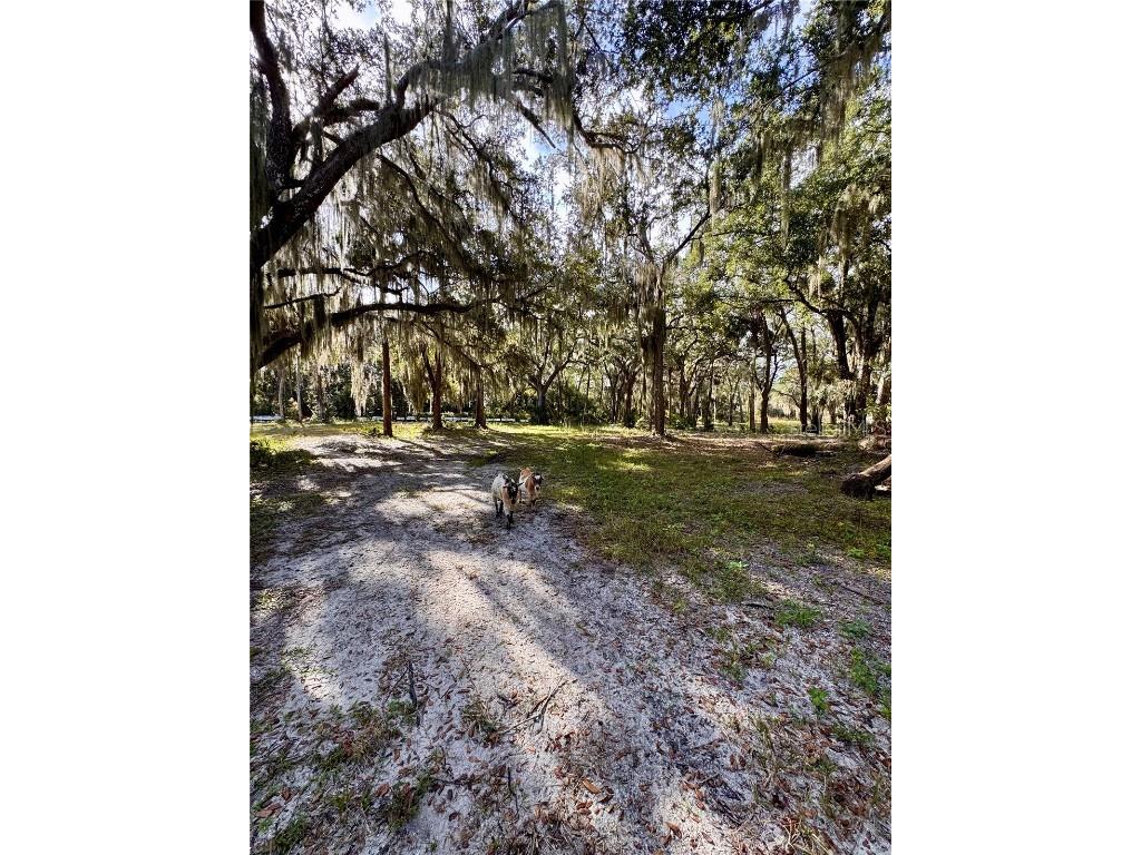 480 Clinton Cemetery Road Edgewater FL 32141 NS1086782 image22