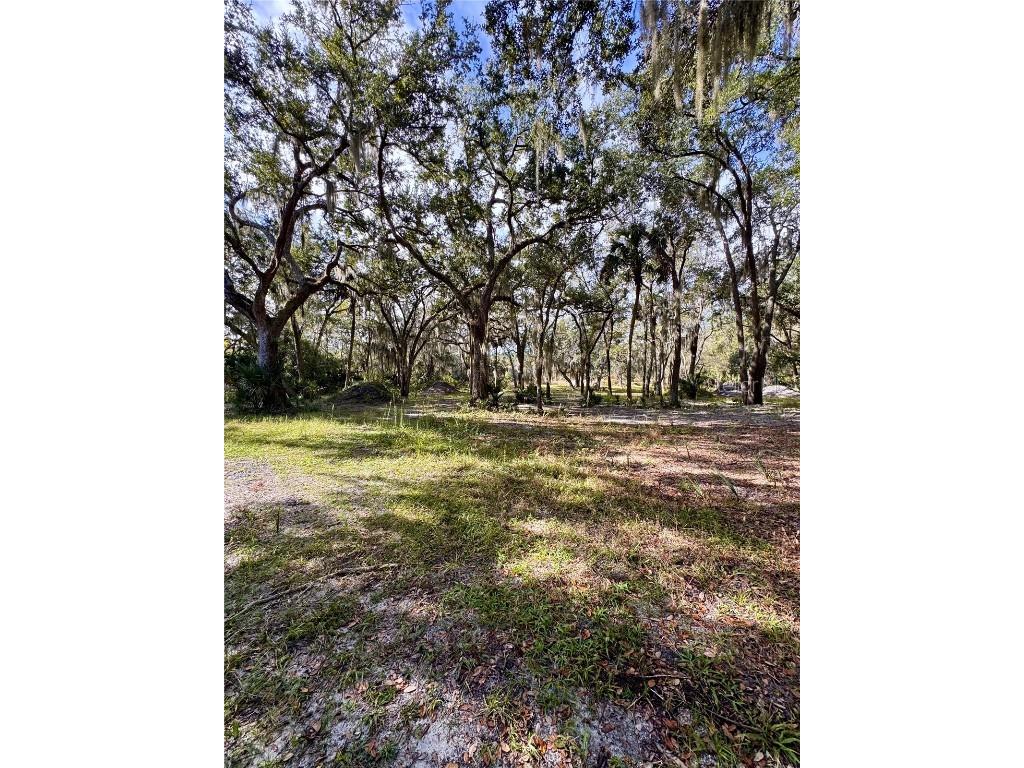 480 Clinton Cemetery Road Edgewater FL 32141 NS1086782 image23