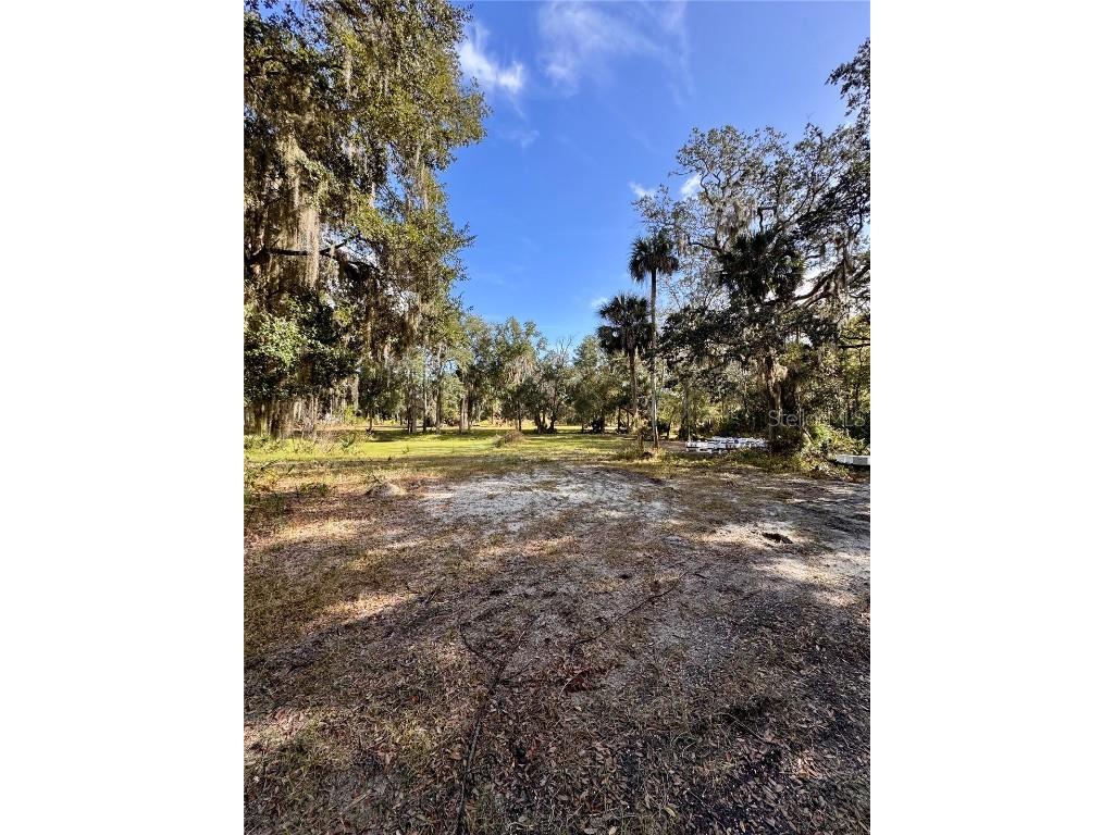 480 Clinton Cemetery Road Edgewater FL 32141 NS1086782 image25