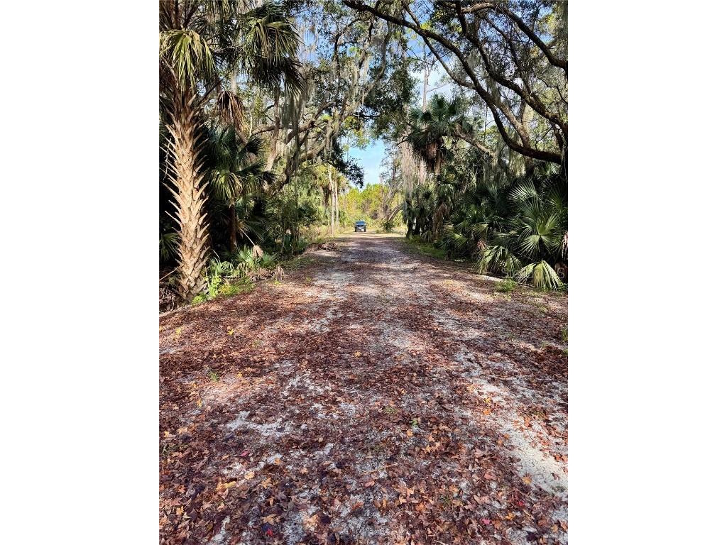 480 Clinton Cemetery Road Edgewater FL 32141 NS1086782 image27