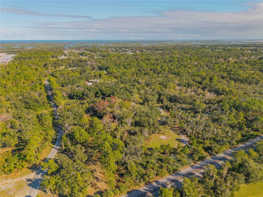 480 Clinton Cemetery Road Edgewater FL 32141 NS1086782 image5