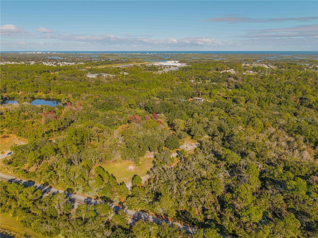 480 Clinton Cemetery Road Edgewater FL 32141 NS1086782 image7