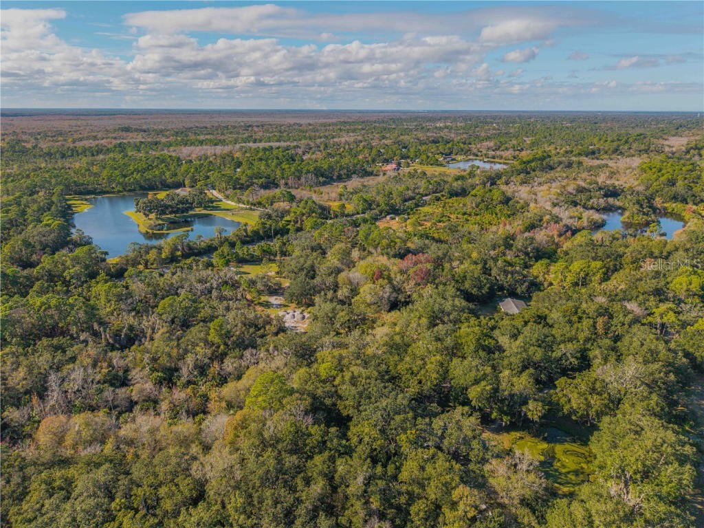 480 Clinton Cemetery Road Edgewater FL 32141 NS1086782 image9