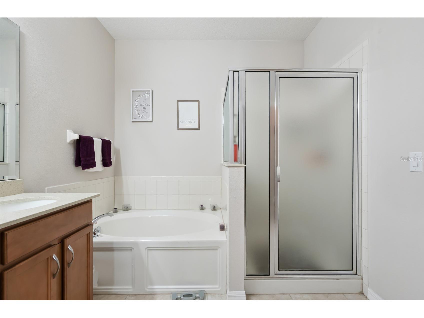 480 Kestrel Drive Groveland FL 34736 O6419981 image24