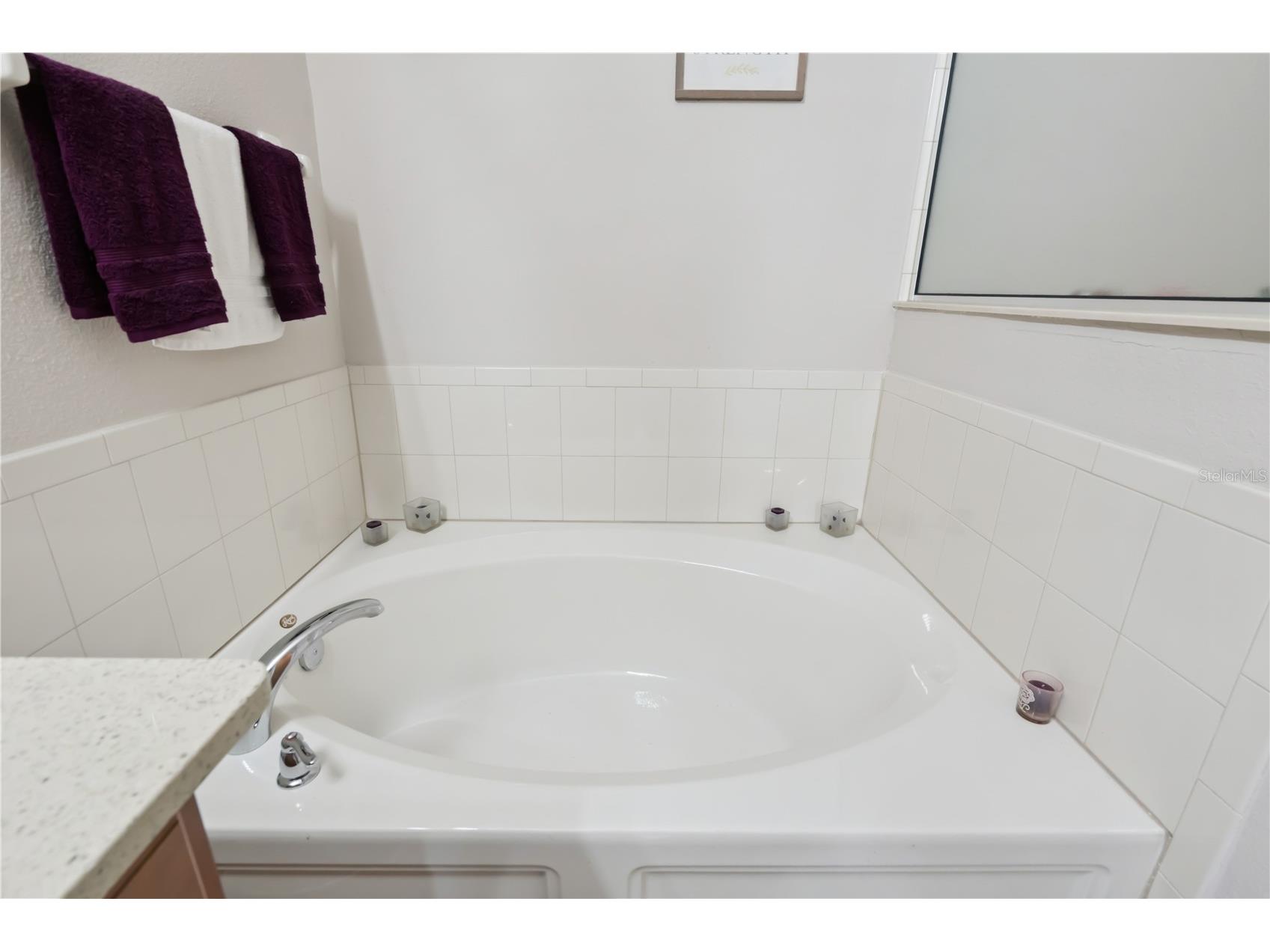 480 Kestrel Drive Groveland FL 34736 O6419981 image25