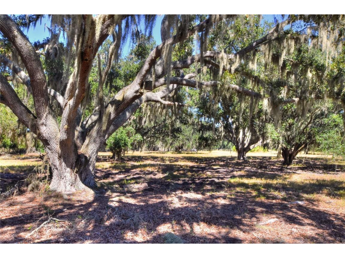 480 Moccasin Hollow Road Lithia FL 33547 TB8438741 image1