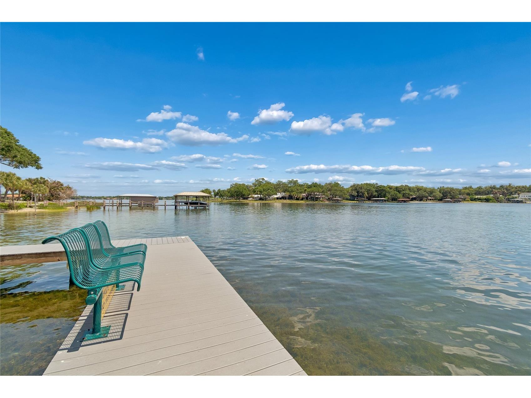 4801 Big Oaks Lane Orlando FL 32806 - LITTLE LAKE CONWAY O6399271 image60