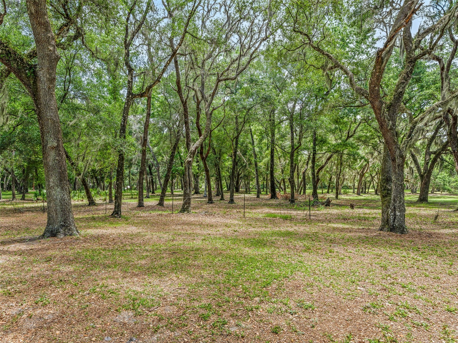4801 County Road 575 Bushnell FL 33513 G5112928 image46