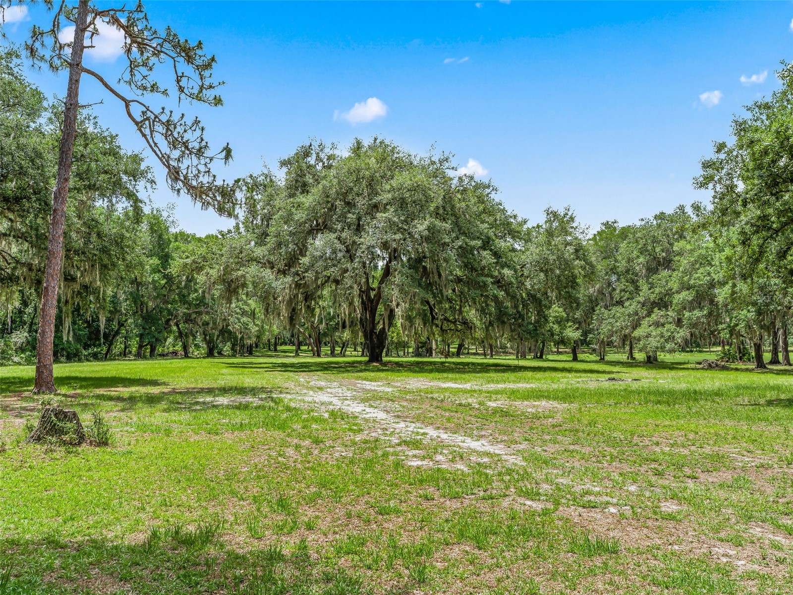 4801 County Road 575 Bushnell FL 33513 G5112928 image48