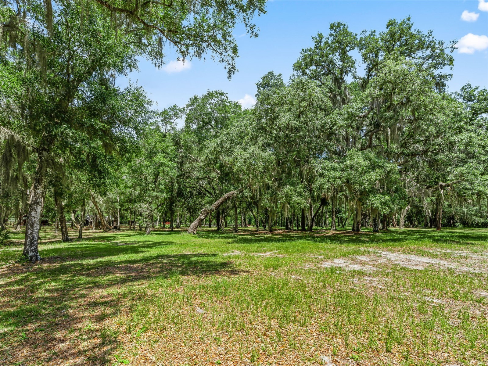 4801 County Road 575 Bushnell FL 33513 G5112928 image49