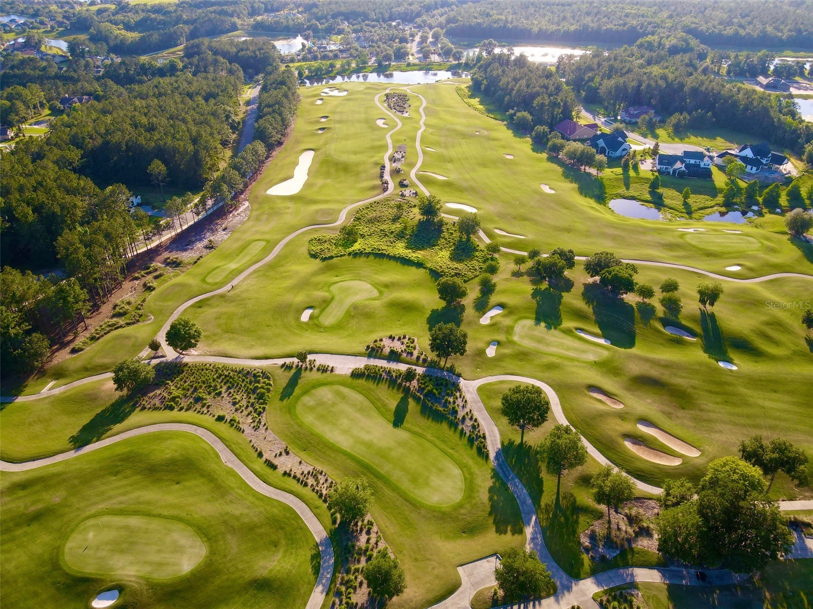 4801 Majestic Hills Loop Brooksville FL 34601 TB8472502 image3