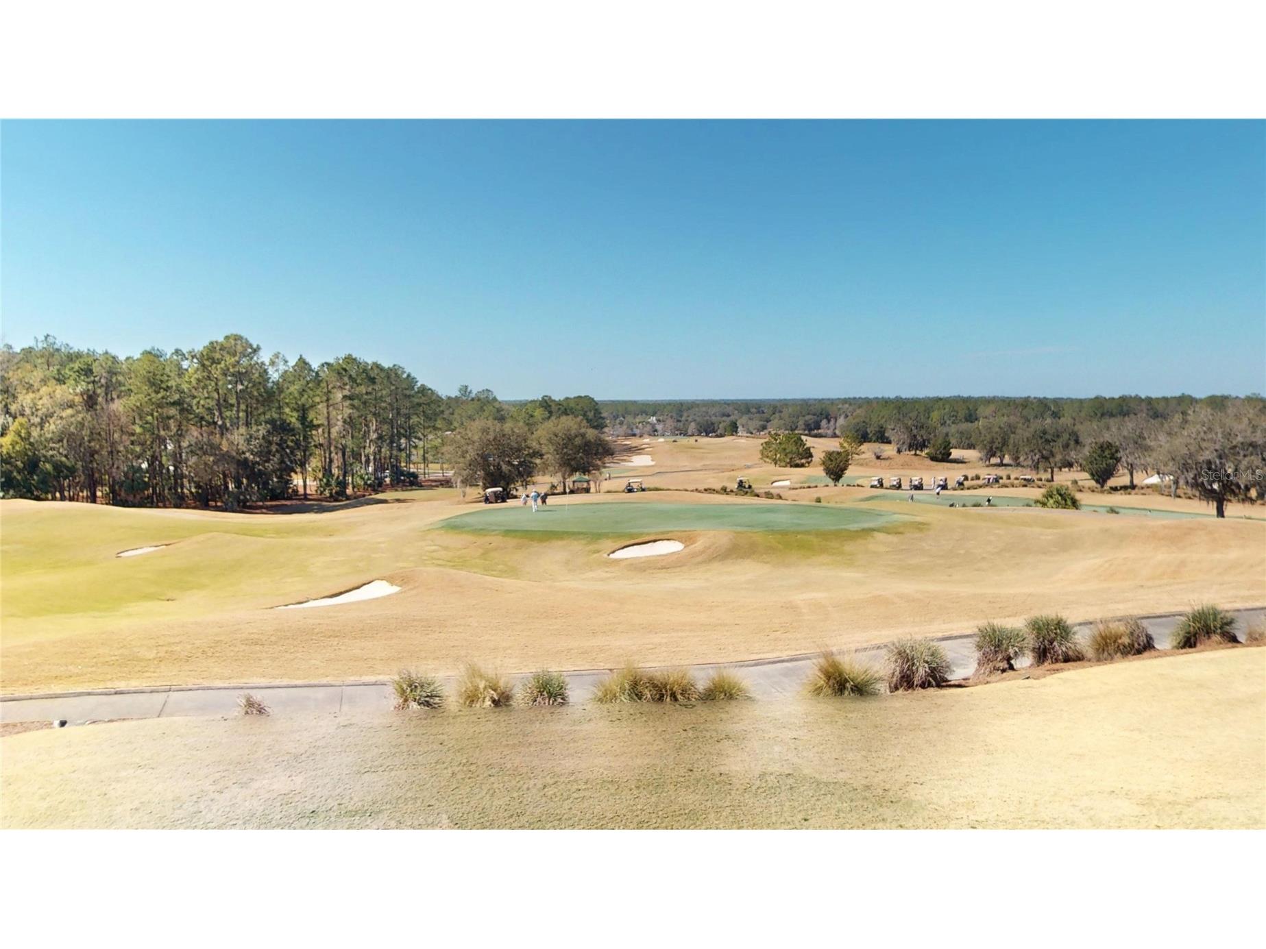 4801 Majestic Hills Loop Brooksville FL 34601 TB8472502 image74