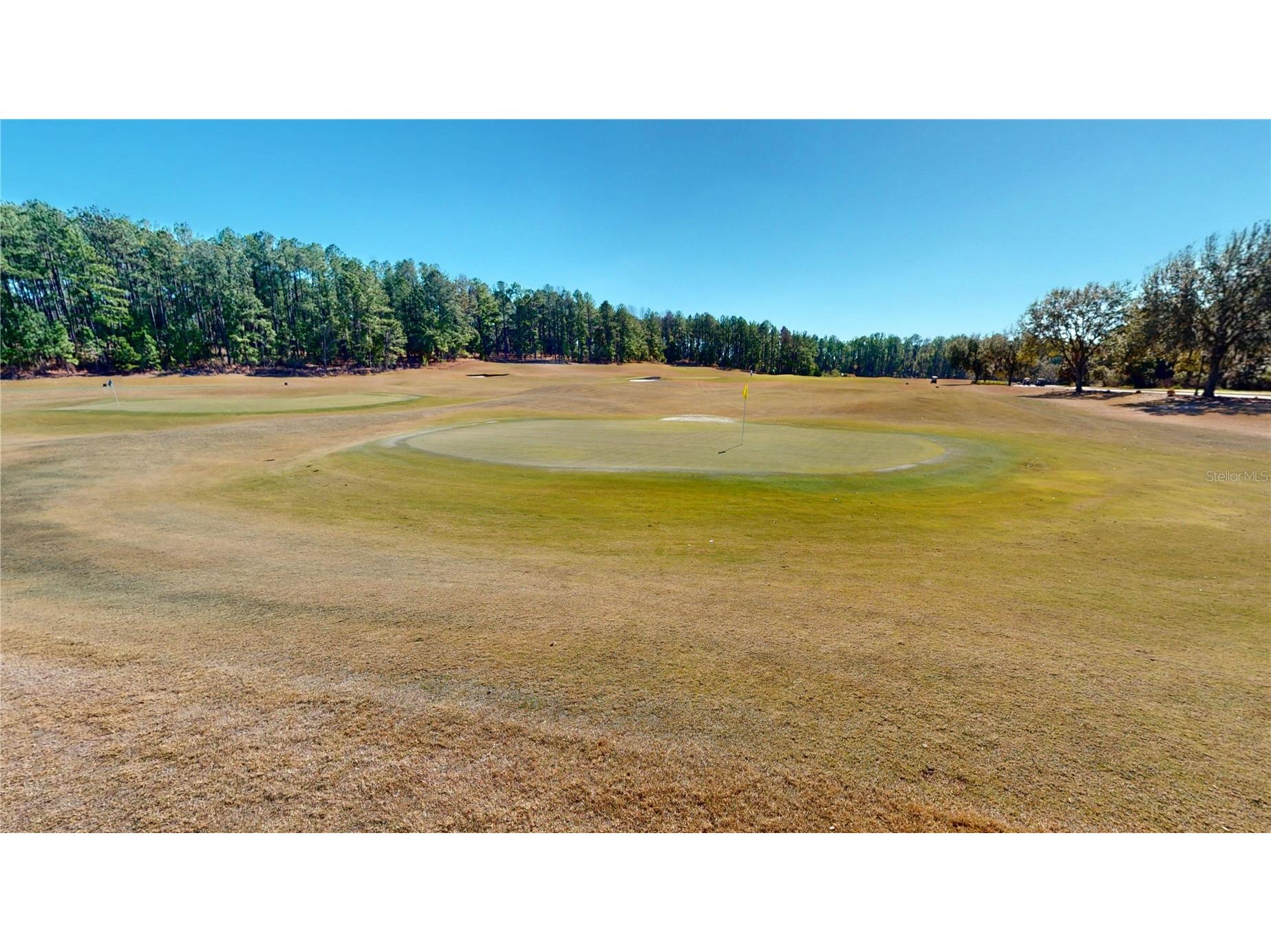 4801 Majestic Hills Loop Brooksville FL 34601 TB8472502 image75