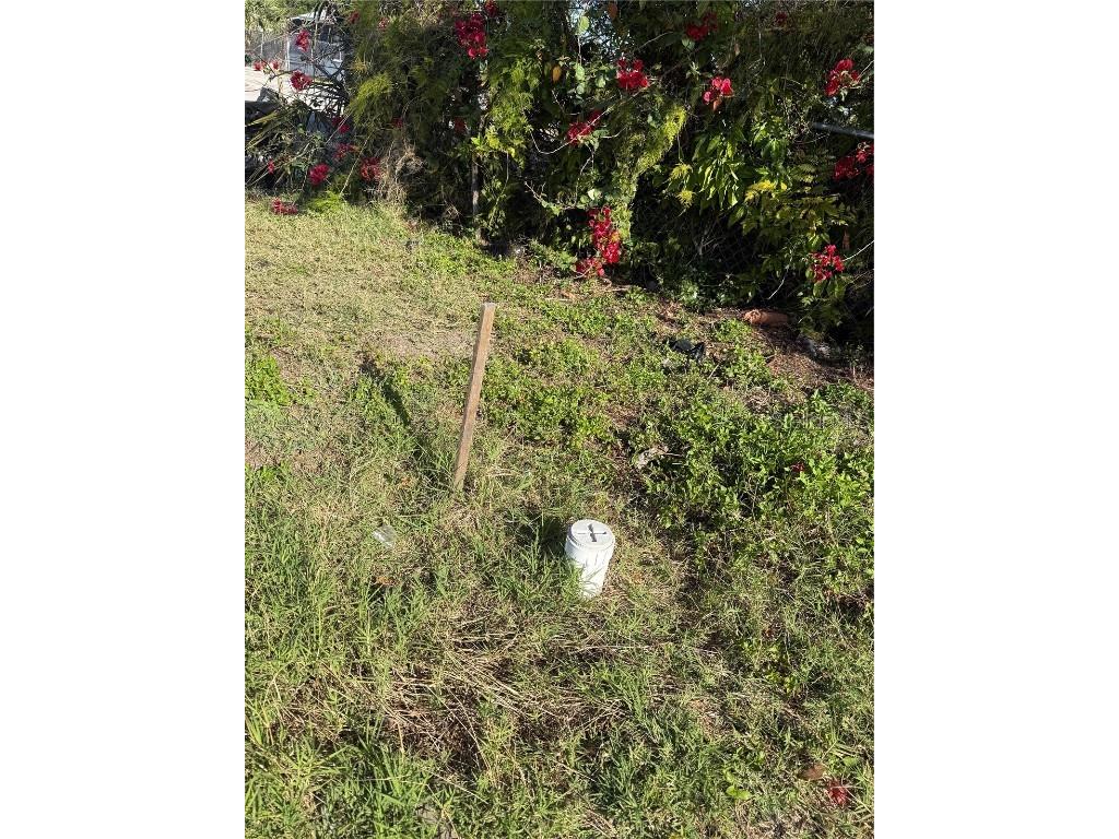 4801 N 30th Street Tampa FL 33610 W7873845 image6