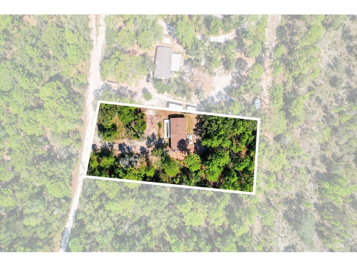 4801 N Mattox Point Crystal River FL 34428 TB8443721 image7