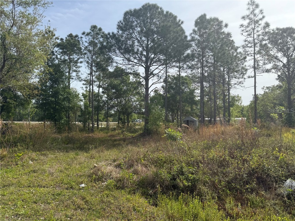 4801 Nova Avenue Saint Cloud FL 34773 G5095039 image1
